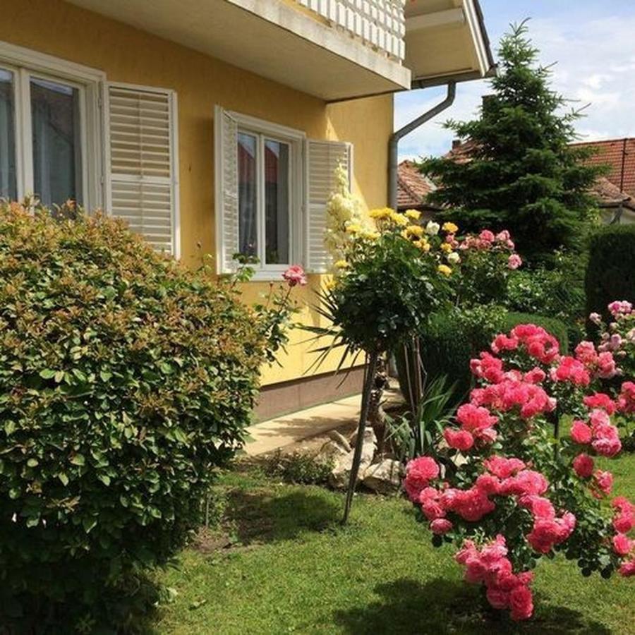 Gizella Haz Apartment Кестели Екстериор снимка